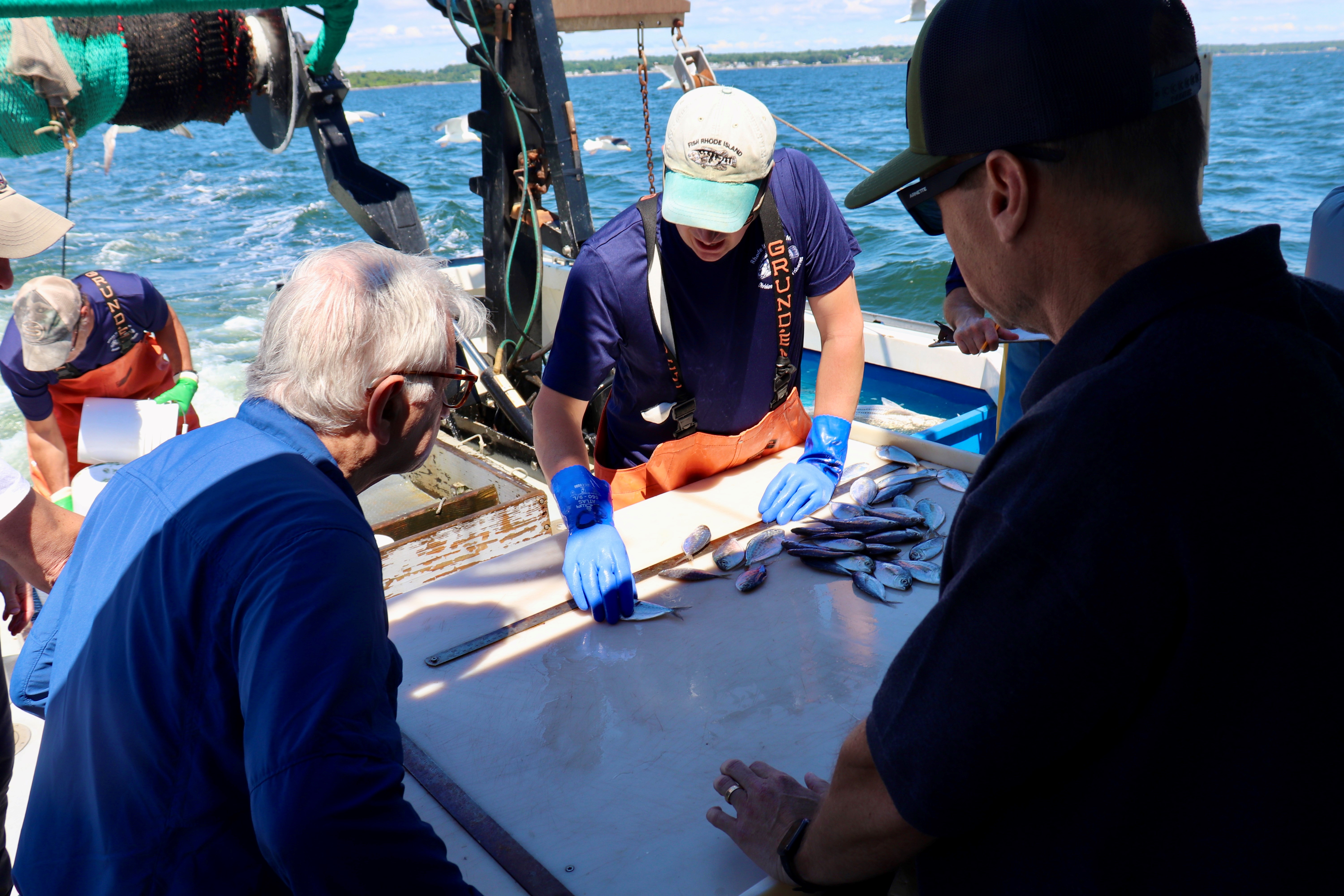 Reed DEM Trawl 3_7