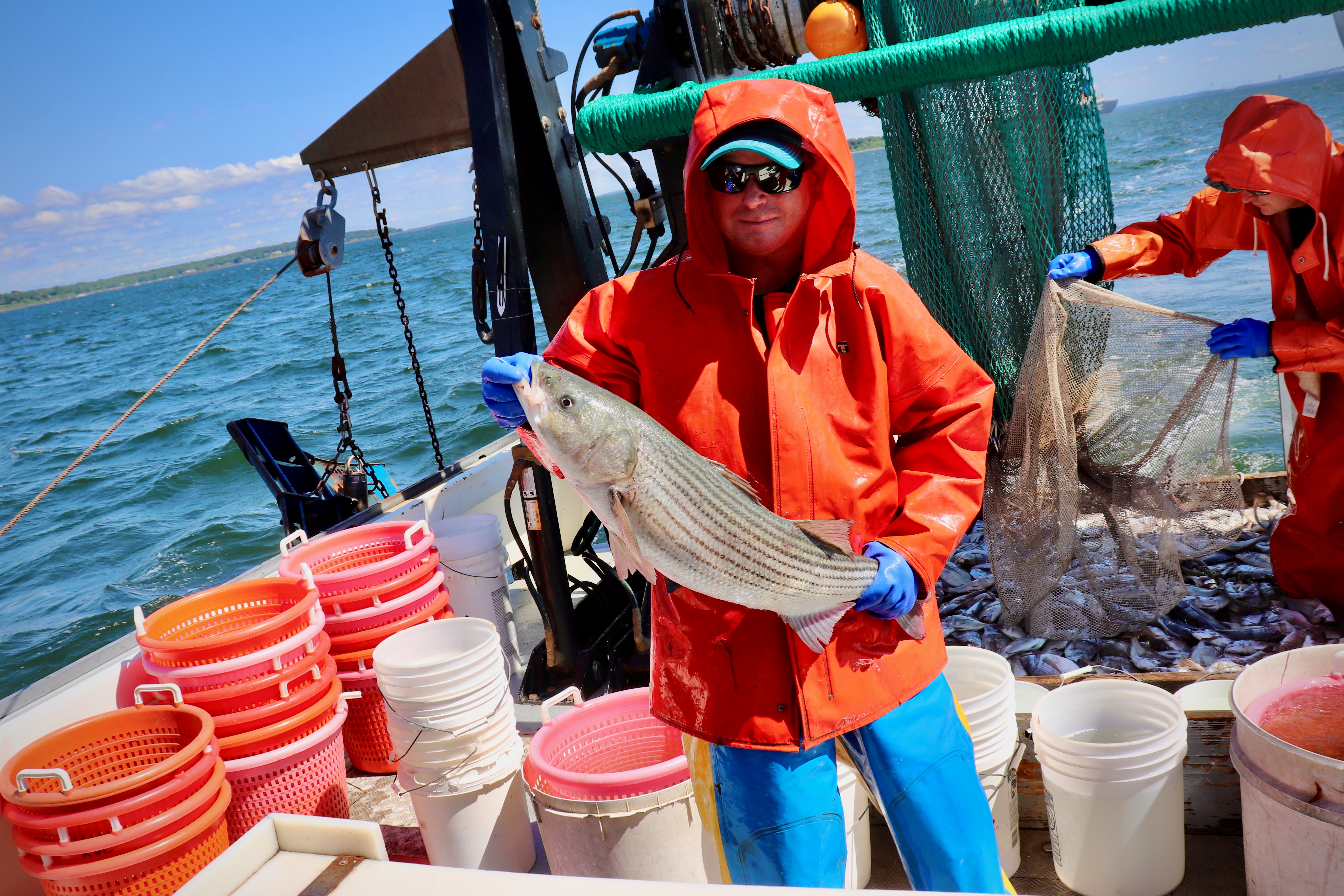 Reed DEM Trawl 9_7